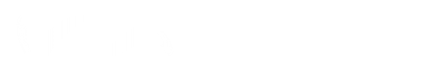 Vox Business