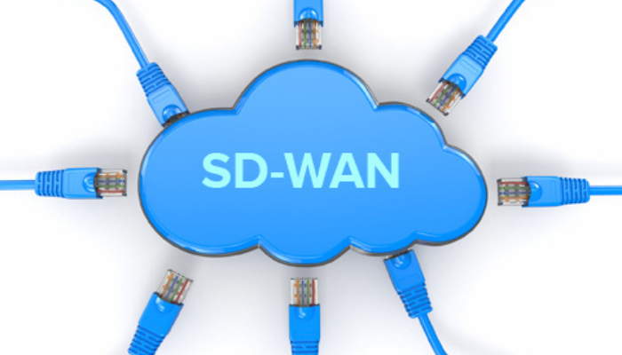 SMEs Need a Bespoke SD-WAN Solution