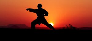 karate 3961079 1280 | Vox | Bringing the ‘Gees’ and Embracing New Challenges
