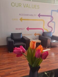 Bandi office view | Vox | Our Queen of Customer Service and Caring