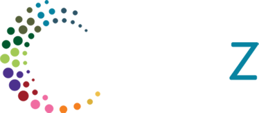 Smartz Logo | Vox | Smartz Solutions