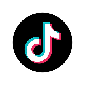 TikTok | Vox | The Vox Streaming Relay Server