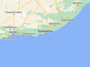 port elizabeth za | Vox | The Quiet Hero of Service Delivery