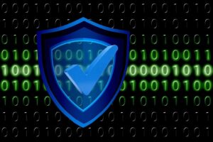 shield 9553555 1280 | Vox | How To Manage Your Digital Footprint