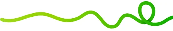 wwp worm | Vox | Wifi | White Paper
