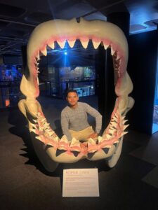 Ross Mega Jaws | Vox | Discovering His Passion for IT Problem Solving and Connecting People