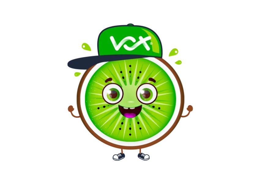 29 | Vox | Internet During Load Shedding: What Happens to Fibre, LTE, 5G and Fixed Wireless