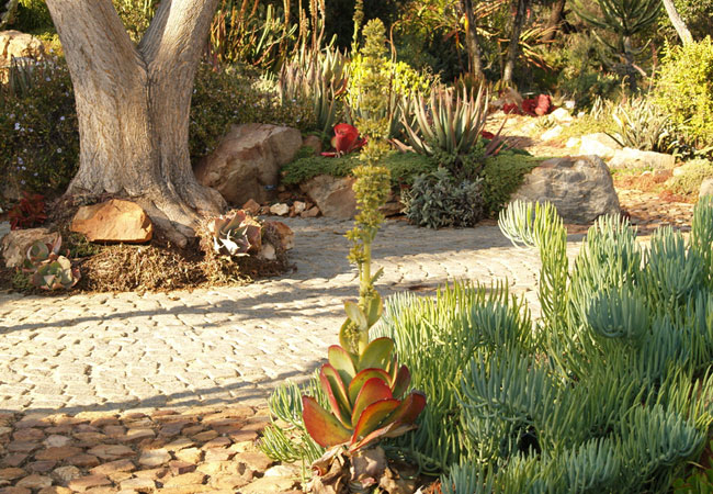 Walter Sisulu Gardens | Vox | Roodepoort: A Great Place to Live and Stay Connected