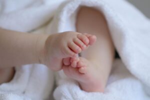marjonhorn baby 6823431 1920 | Vox | The Calm Centre at the Customer Care Coalface