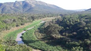 Zululand scenery | Vox | Why Professional Email Matters for Small Businesses in Richards Bay (And Anywhere, Really…)
