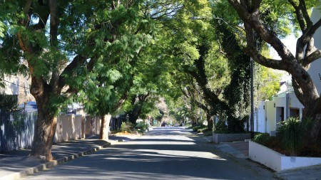 Parkhurst